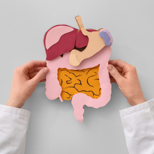Visuel article blog - Article Chirurgie Digestive - Clinique Chirurgicale du Libournais