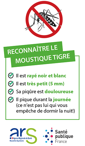 reconnaitre moustique tigre_clinique du libournais