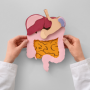 illustration : Chirurgie Digestive � Libourne : Expertise et Parcours Patient