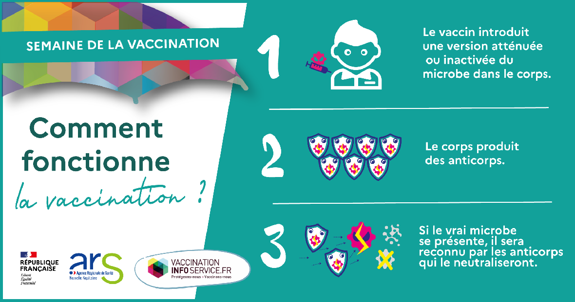 semaine europenne de la vaccination 2022 - comment fonctionne la vaccination - clinique chirurgicale du libournais