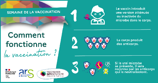 semaine européenne de la vaccination 2022 - comment fonctionne la vaccination - clinique chirurgicale du libournais