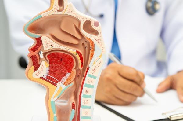 Visuel article Partenariat ORL Centre Hospitalier Robert Boulin et Clinique Chirurgicale du Libournais